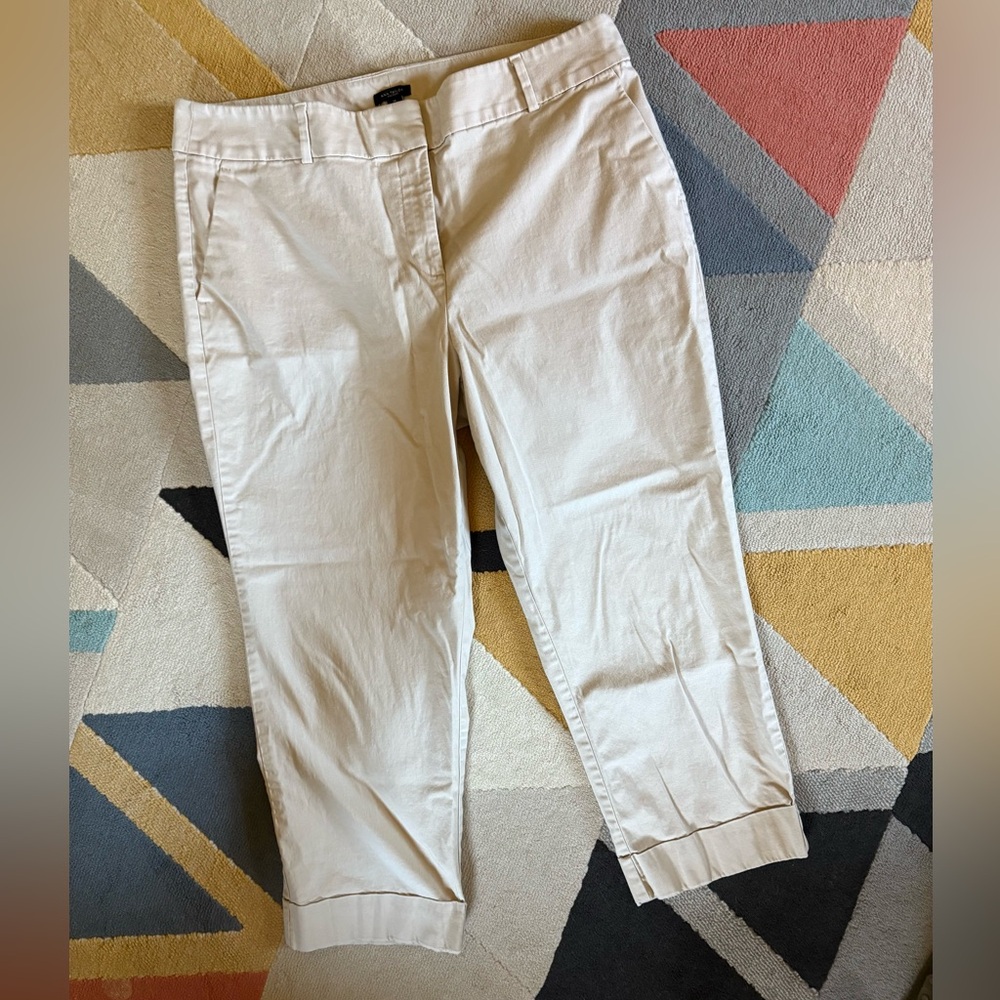Ann Taylor capris